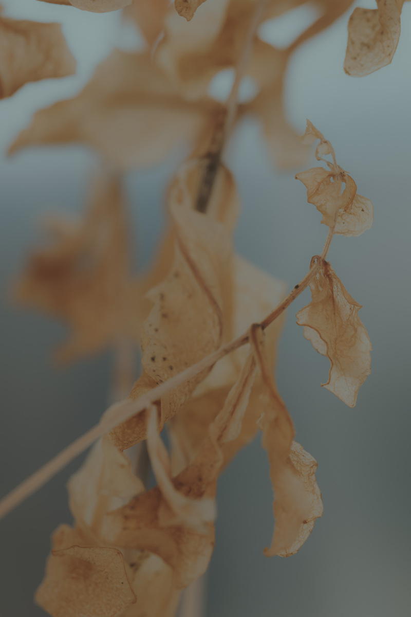 Untitled 10
