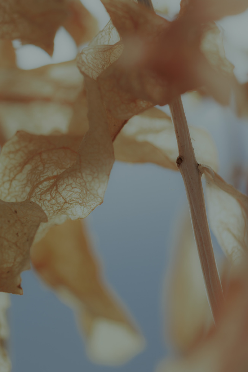 Untitled 11