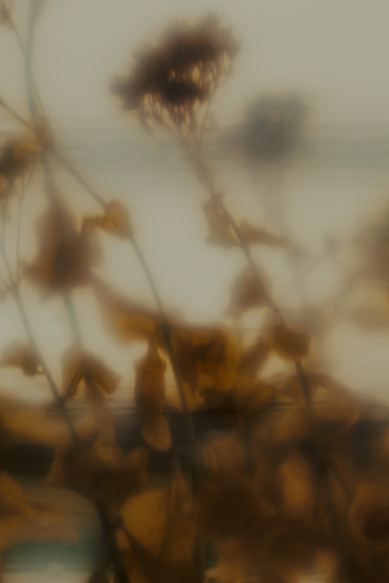 Untitled 14