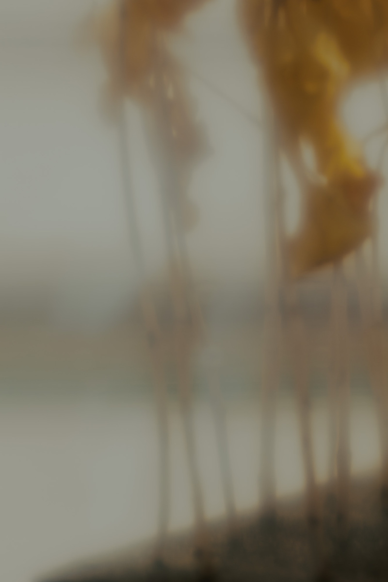 Untitled 2