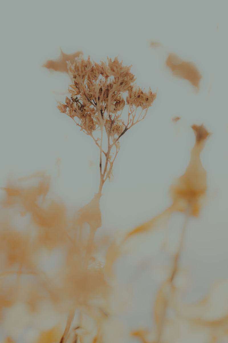 Untitled 3