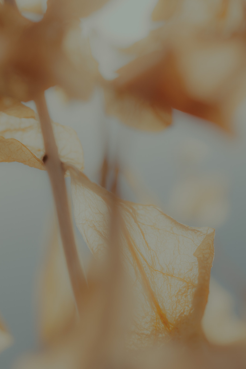 Untitled 4