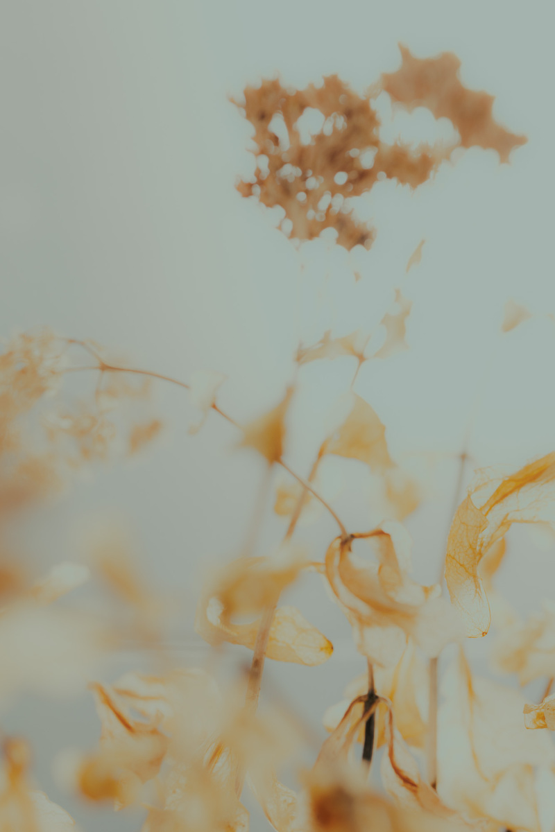 Untitled 6