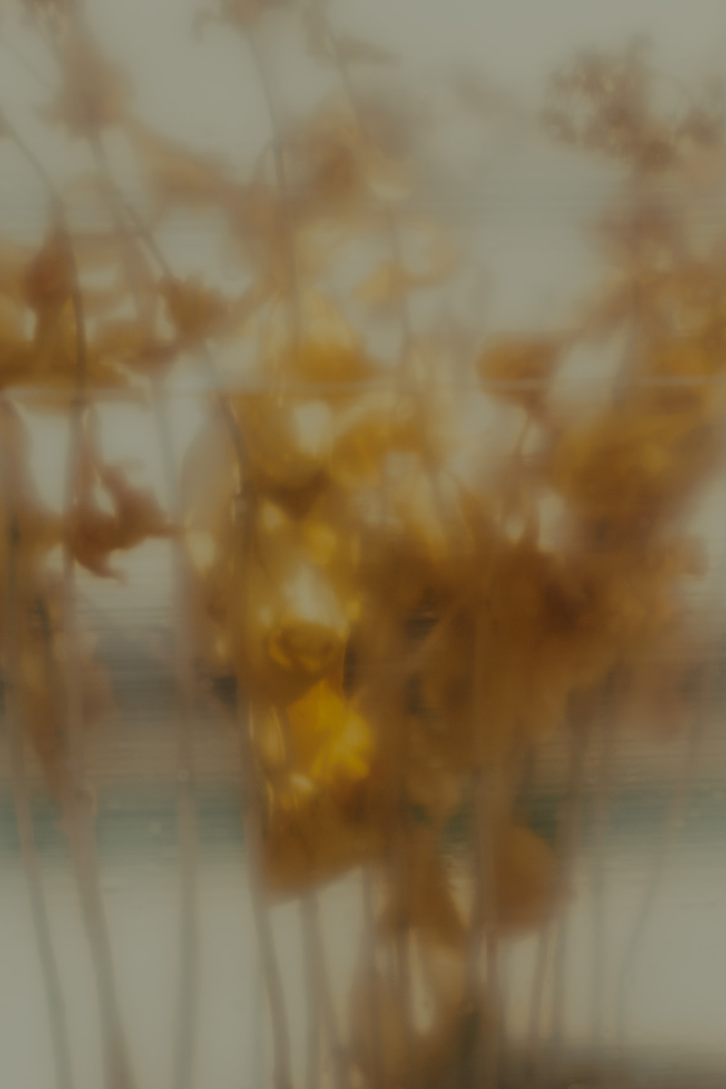 Untitled 8