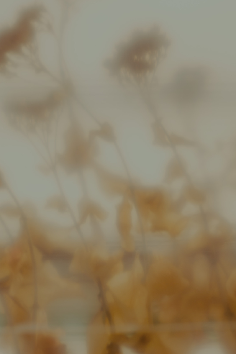 Untitled 9